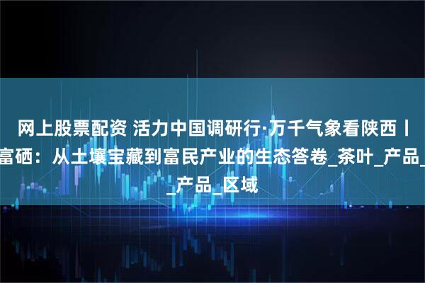网上股票配资 活力中国调研行·万千气象看陕西丨安康富硒：从土壤宝藏到富民产业的生态答卷_茶叶_产品_区域