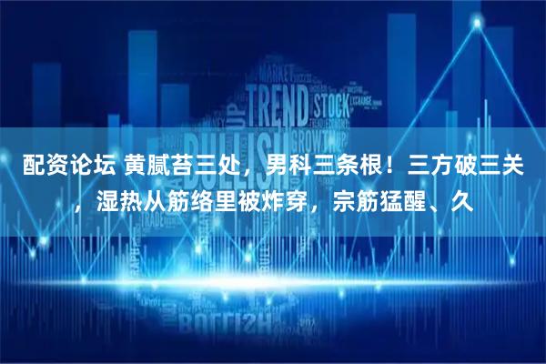 配资论坛 黄腻苔三处，男科三条根！三方破三关，湿热从筋络里被炸穿，宗筋猛醒、久